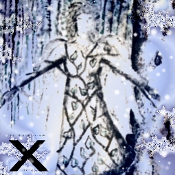 album cover: X